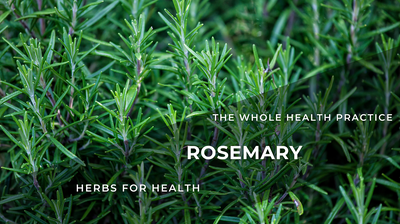 Herbs for Health: Rosemary – Rosmarinus Officinalis