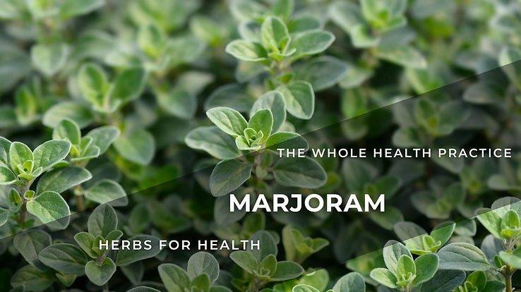 Marjoram Herb Sweet Fragrant Hydroponics Plants Health