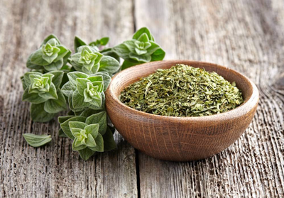 Herbs for Health Recipe: Marjoram – Origanum Majorana