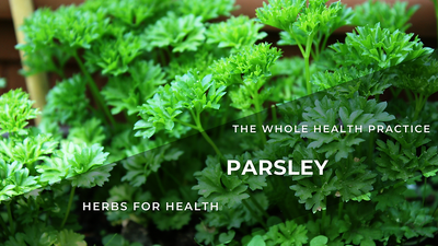 Herbs for Health: Parsley – Petroselinum Crispum