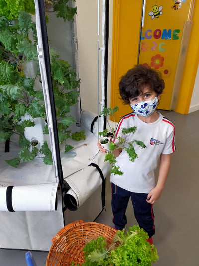 What Can A School Hydroponic Garden Teach The Next Generation?