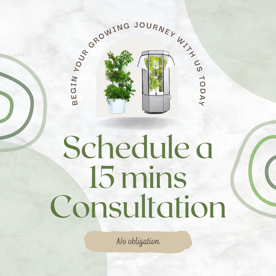 Consultation Service