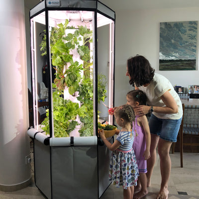 Choosing the Right Hydroponic System For You