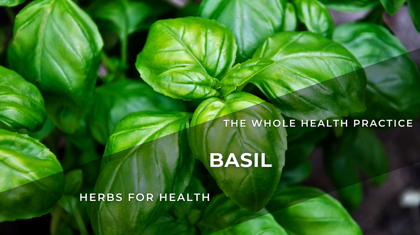 Herbs For Health: Basil