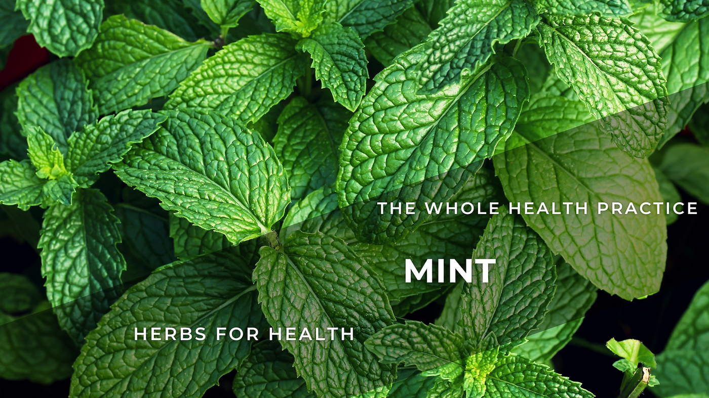 Herbs for Health: Mint