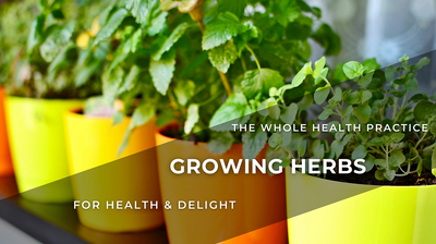 Growing Herbs for Health & Delight