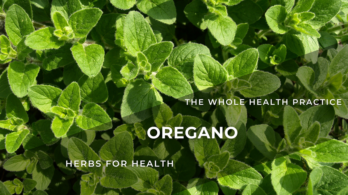 Herbs For Health: Zaatar Oregano – Origanum Syriacum – Aerospring ...