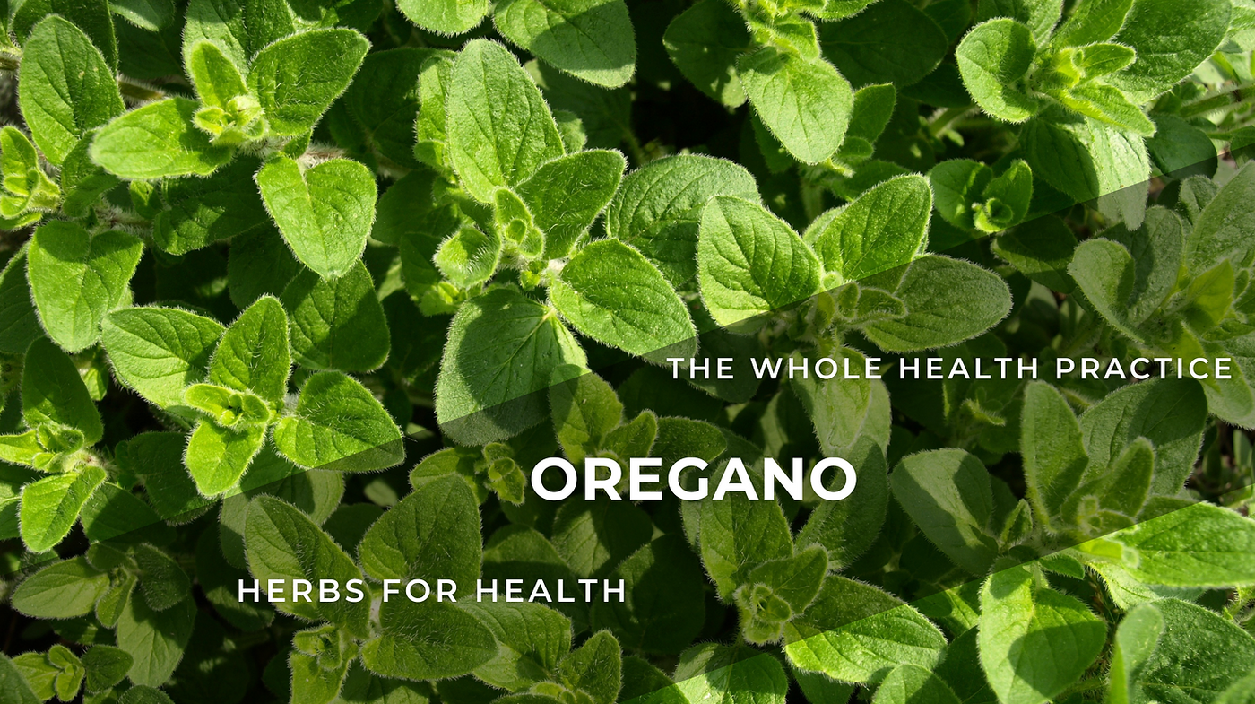 Herbs For Health: Oregano