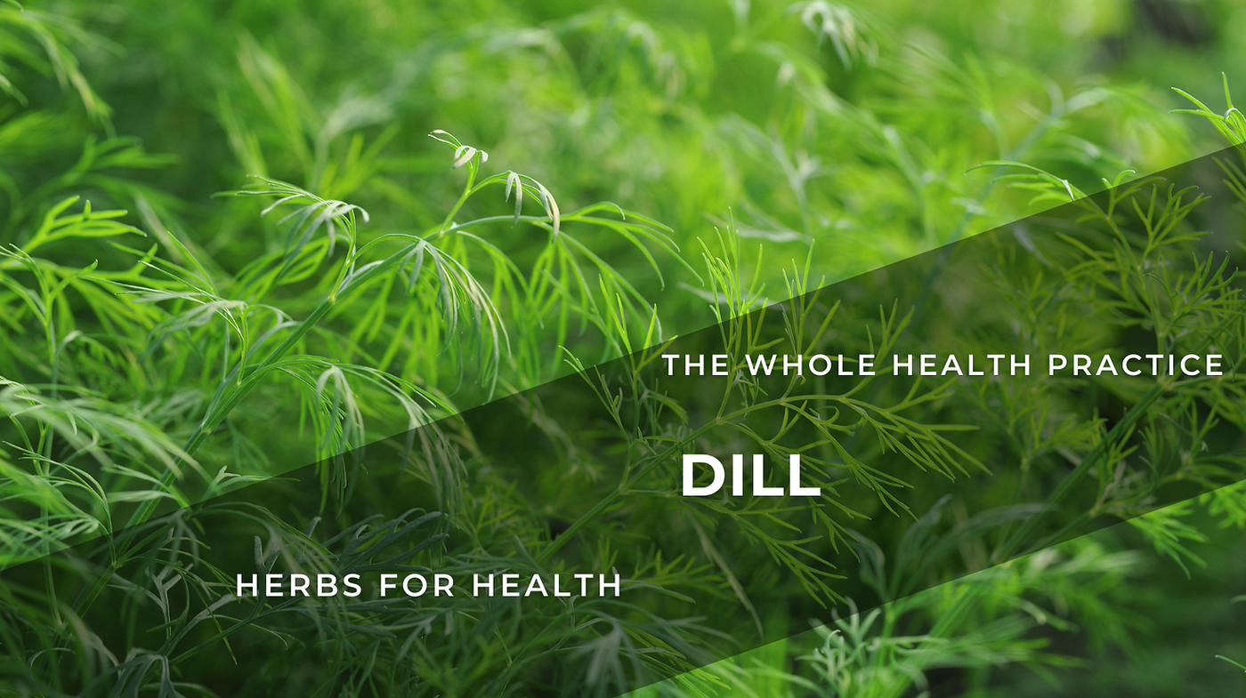 Herbs For Health: Dill
