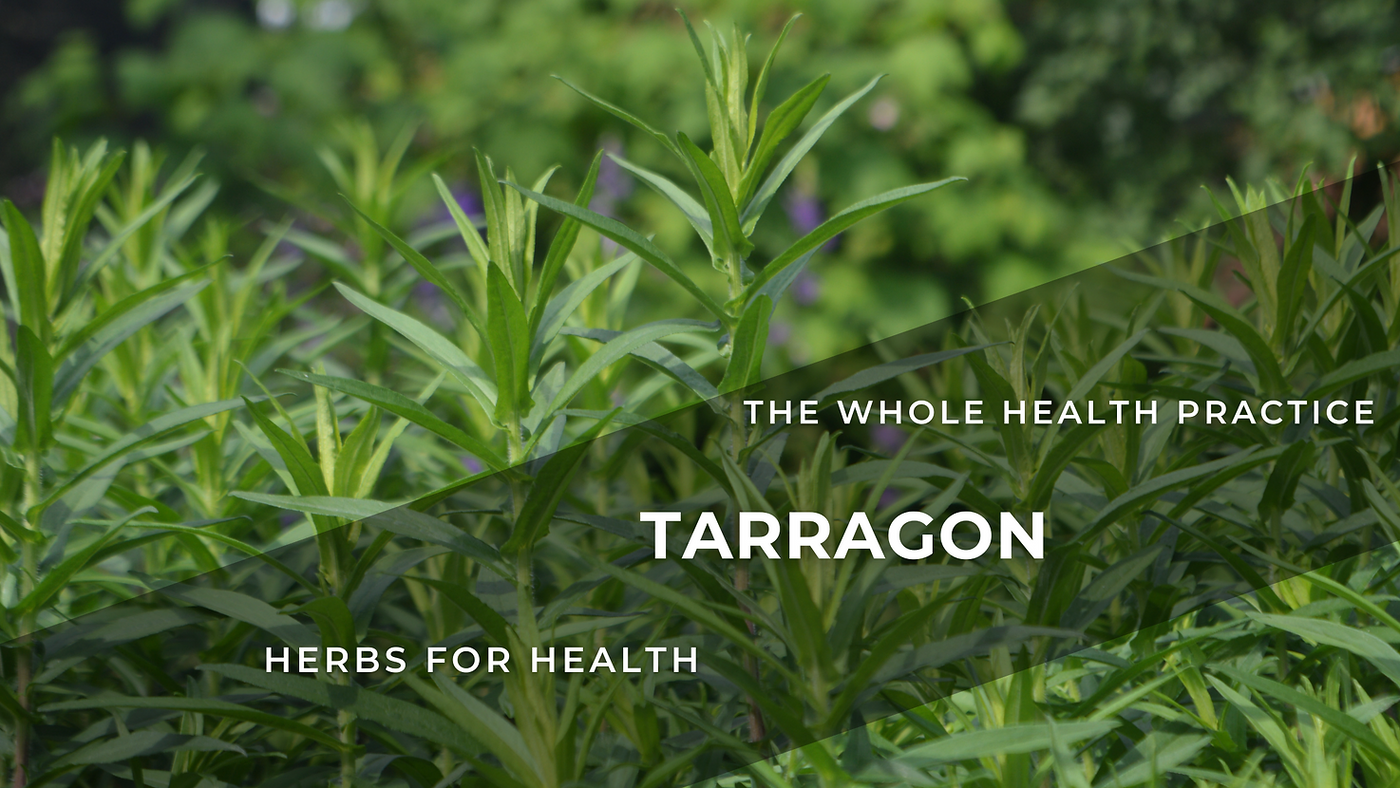 Herbs For Health: Tarragon – Artemisia Dracunculus