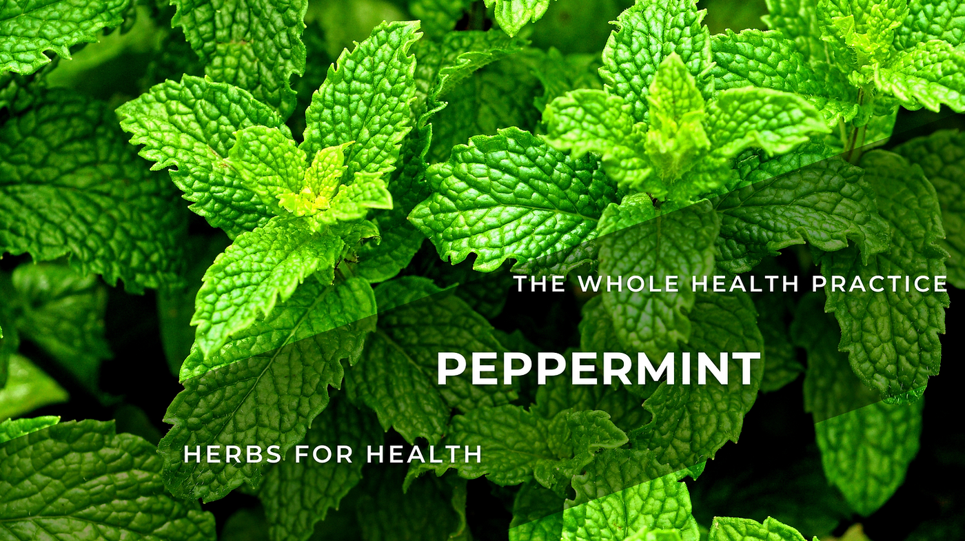 Herbs for Health: Peppermint – Mentha Piperita