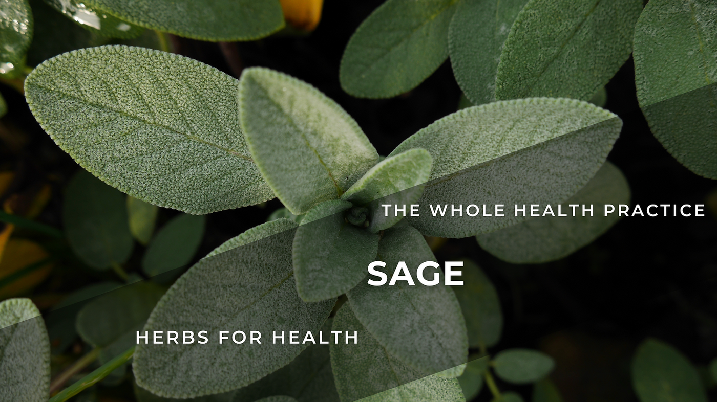 Herb for Health: Sage – Salvia Officinalis