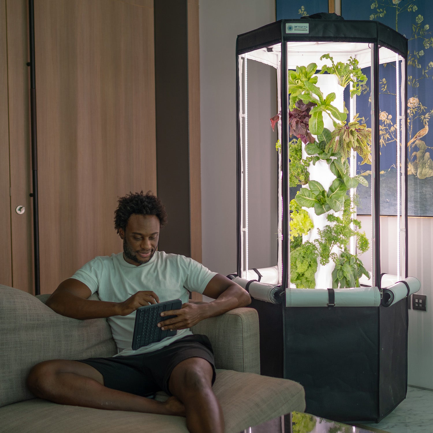 Home | Aerospring Hydroponics