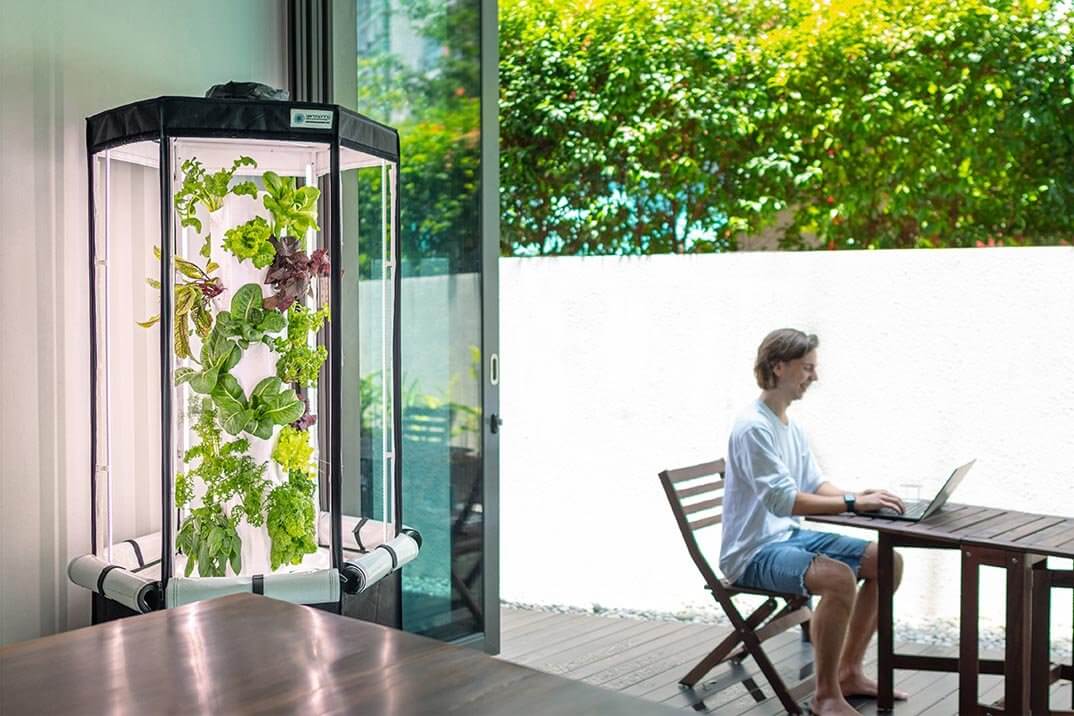 Versatile Design, 2-in-1  Convertible System