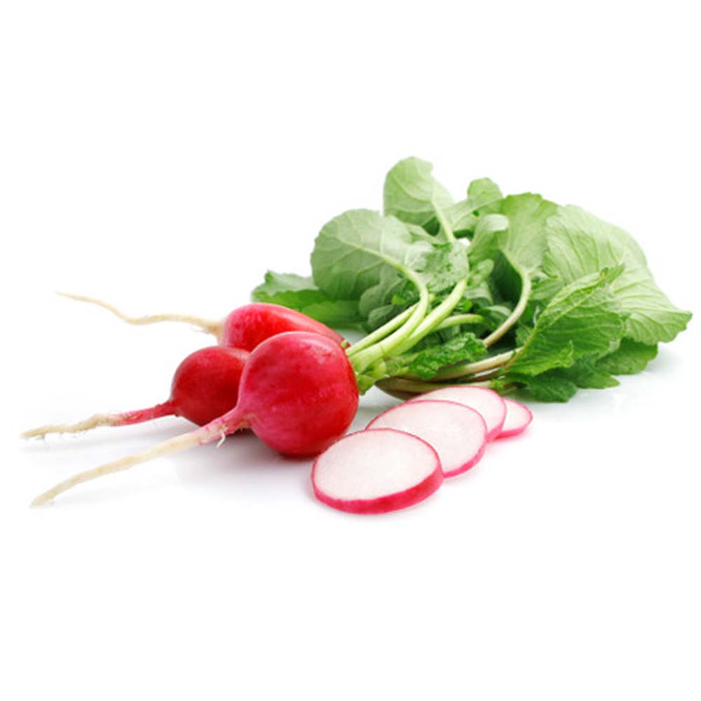 Radish