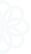 files/image_24_2.png
