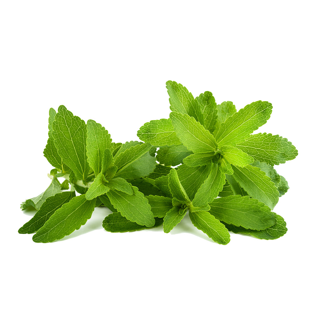 Stevia