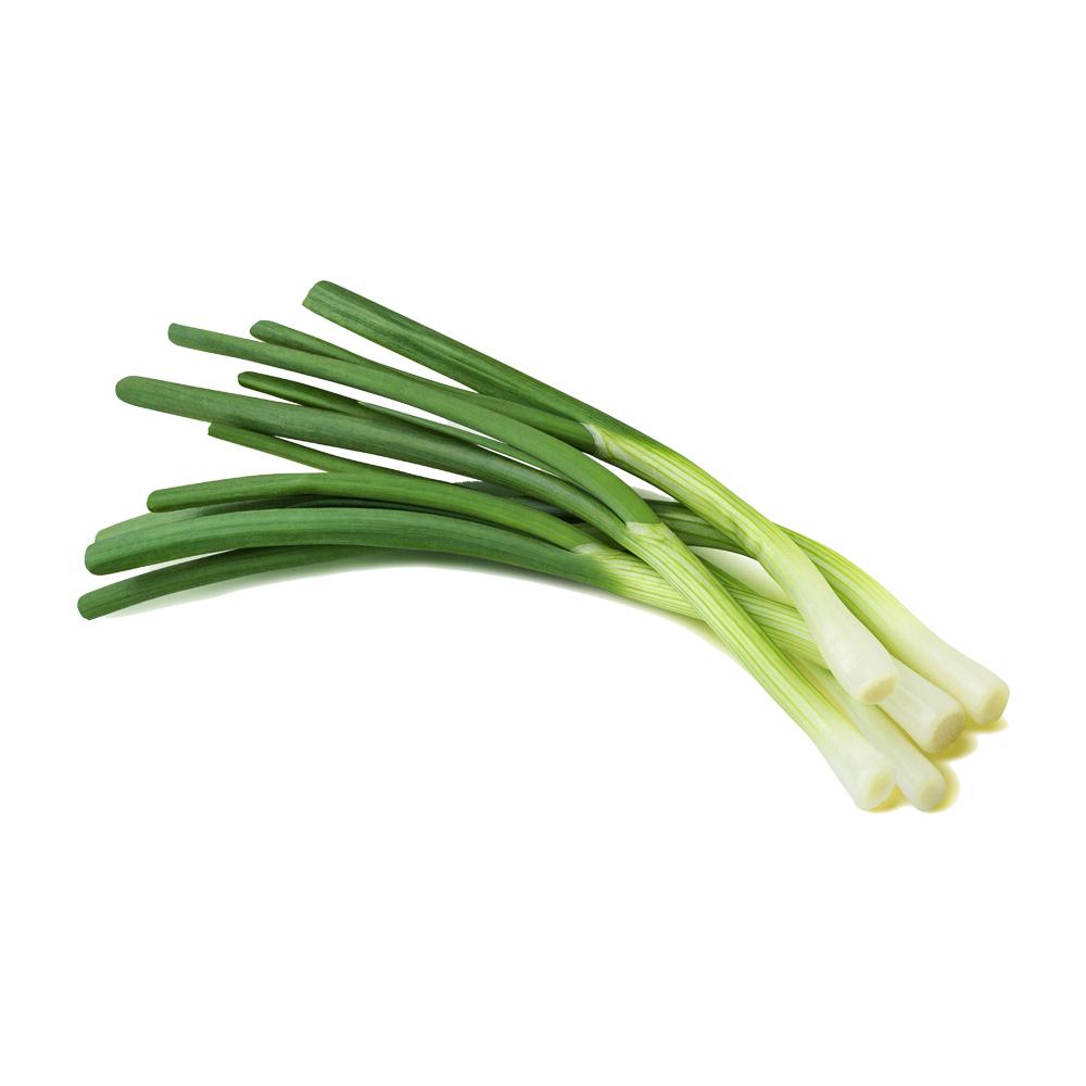 Spring Onion